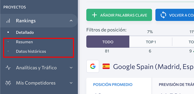 SE-Ranking-agencia-marketing-digital-zaragoza-15